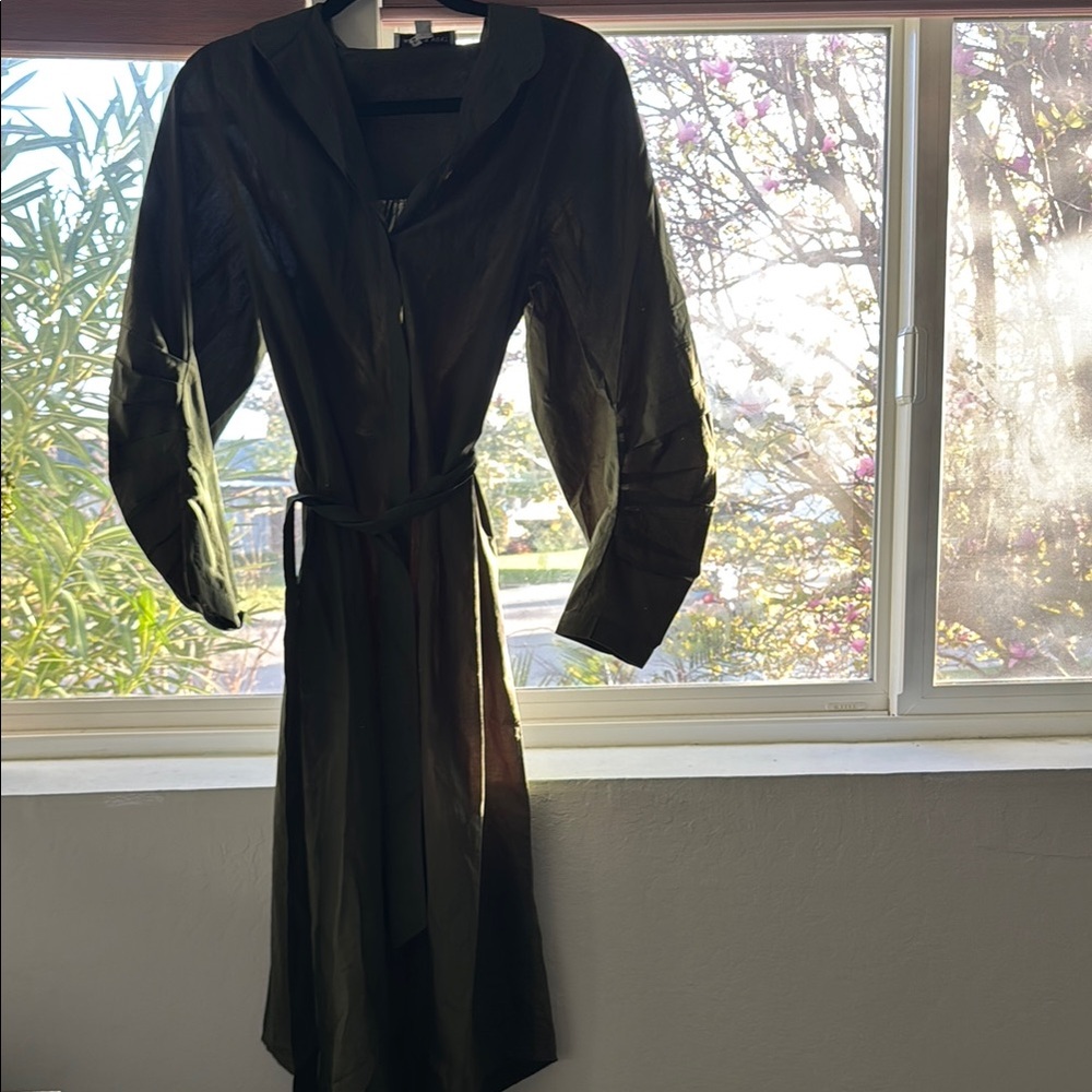 Brand new never worn Amour Vert  Green Long-Sleeve Dress